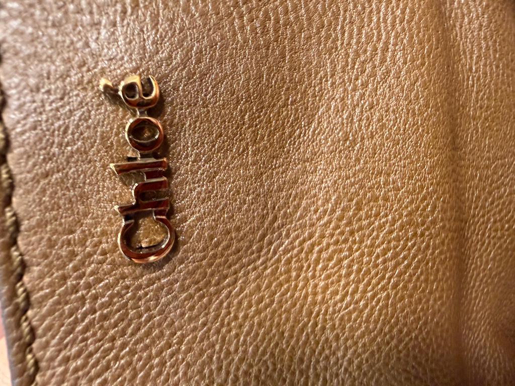 Chloe Elsie Convertible Sling Crossbody