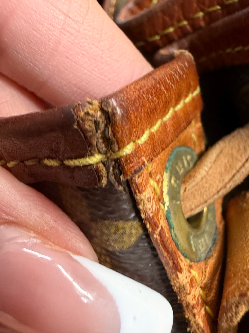 Louis Vuitton Monogram Petit Noe Bucket Hobo