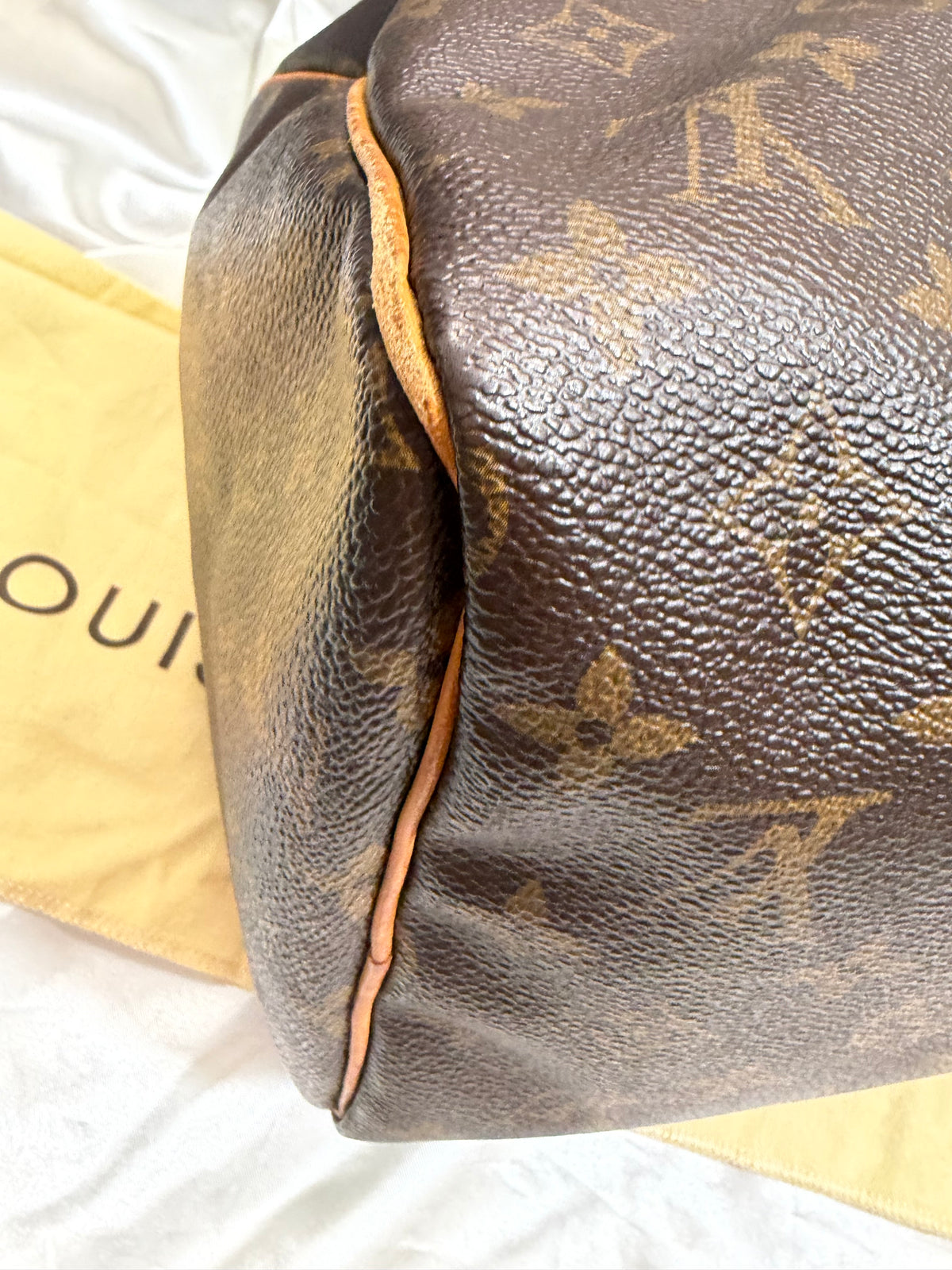 Louis Vuitton Speedy Monogram 30 Satchel Boston Bowler