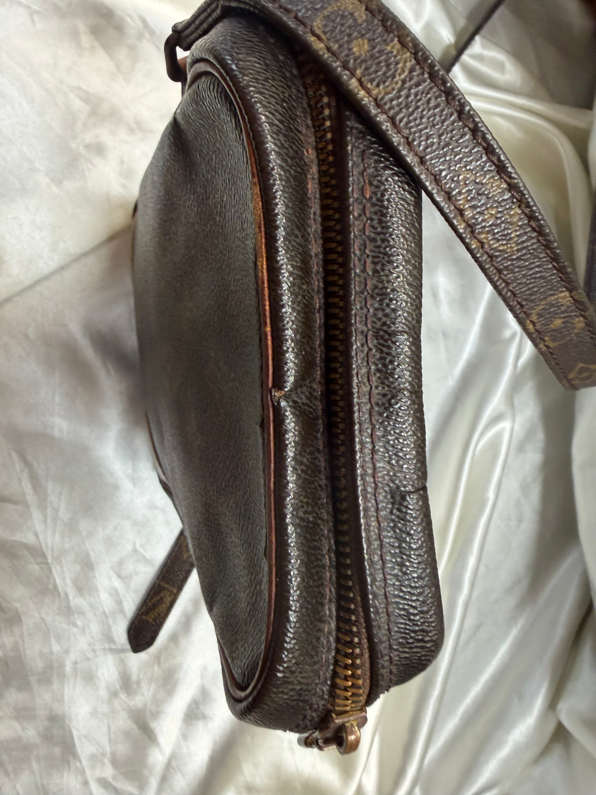 Louis Vuitton Monogram Amazon Sling Crossbody