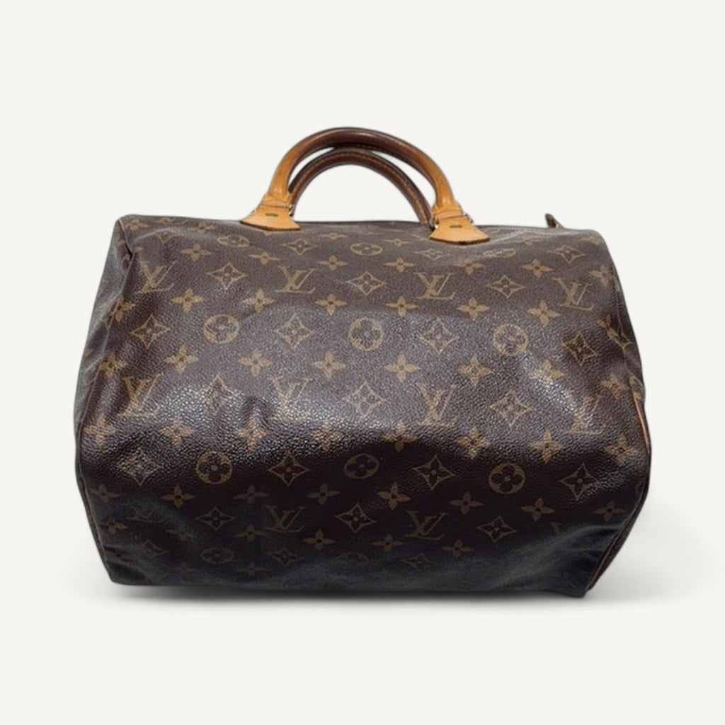 Louis Vuitton Monogram Canvas Speedy 25 Handbag in Brown