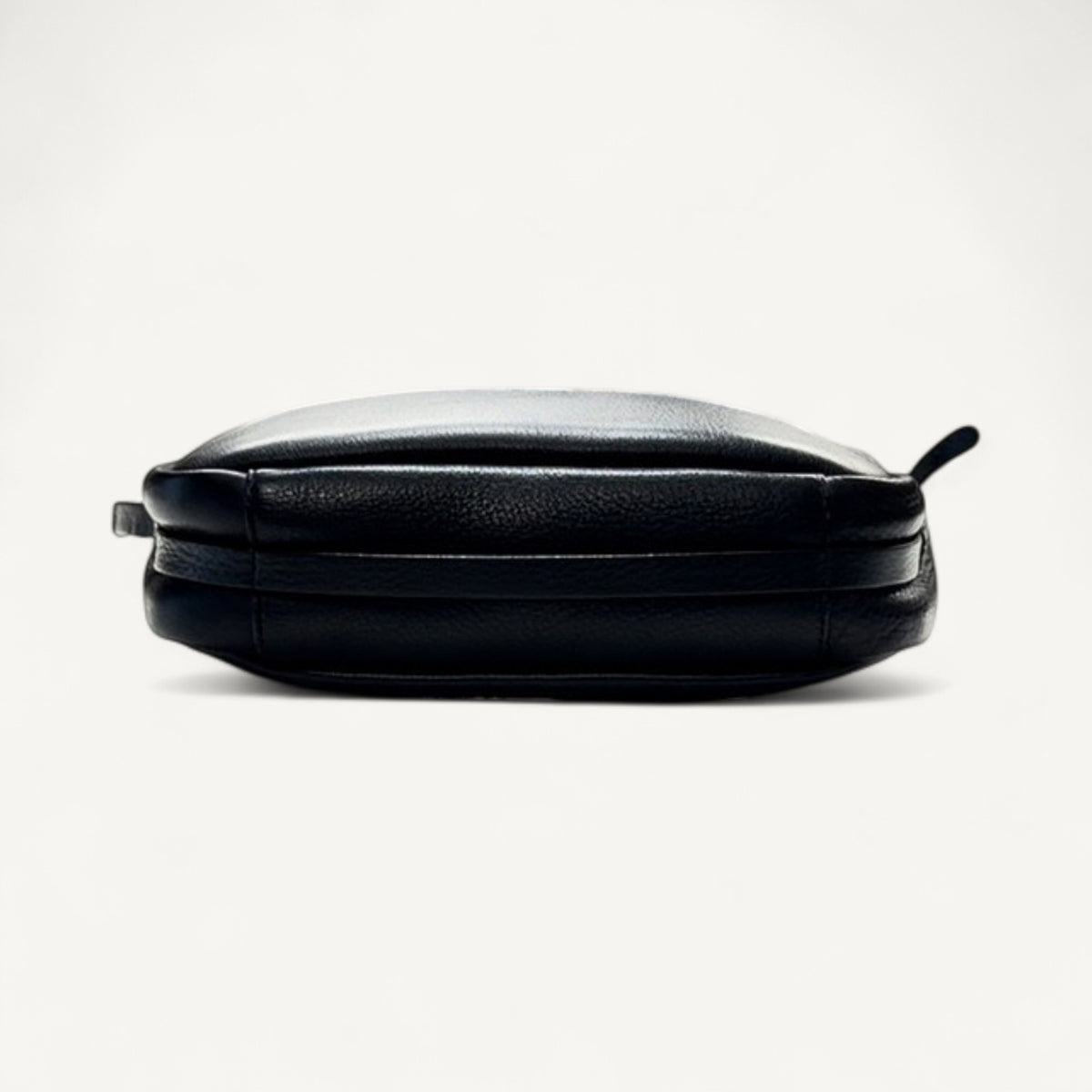 Balenciaga Crossbody Everyday Dog Cat Camera Bag in Black
