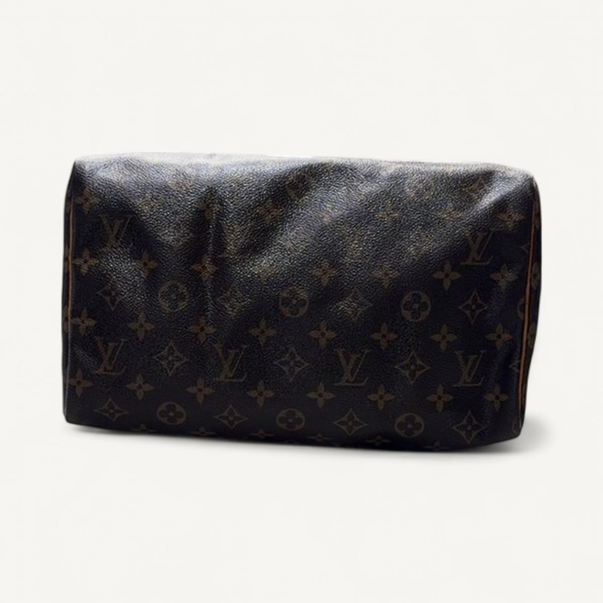 Louis Vuitton Monogram Canvas Speedy 25 Handbag in Brown