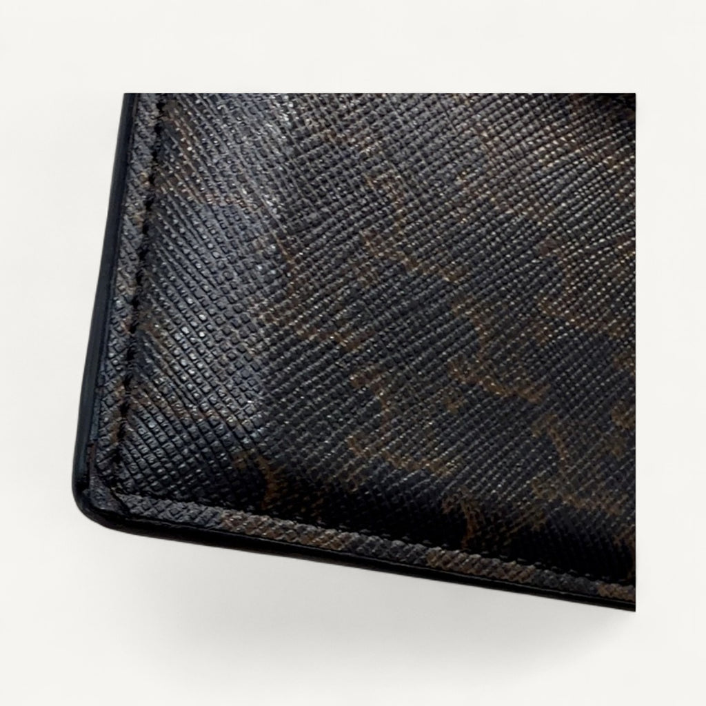 Celine Triomphe Canvas Card Holder in Brown