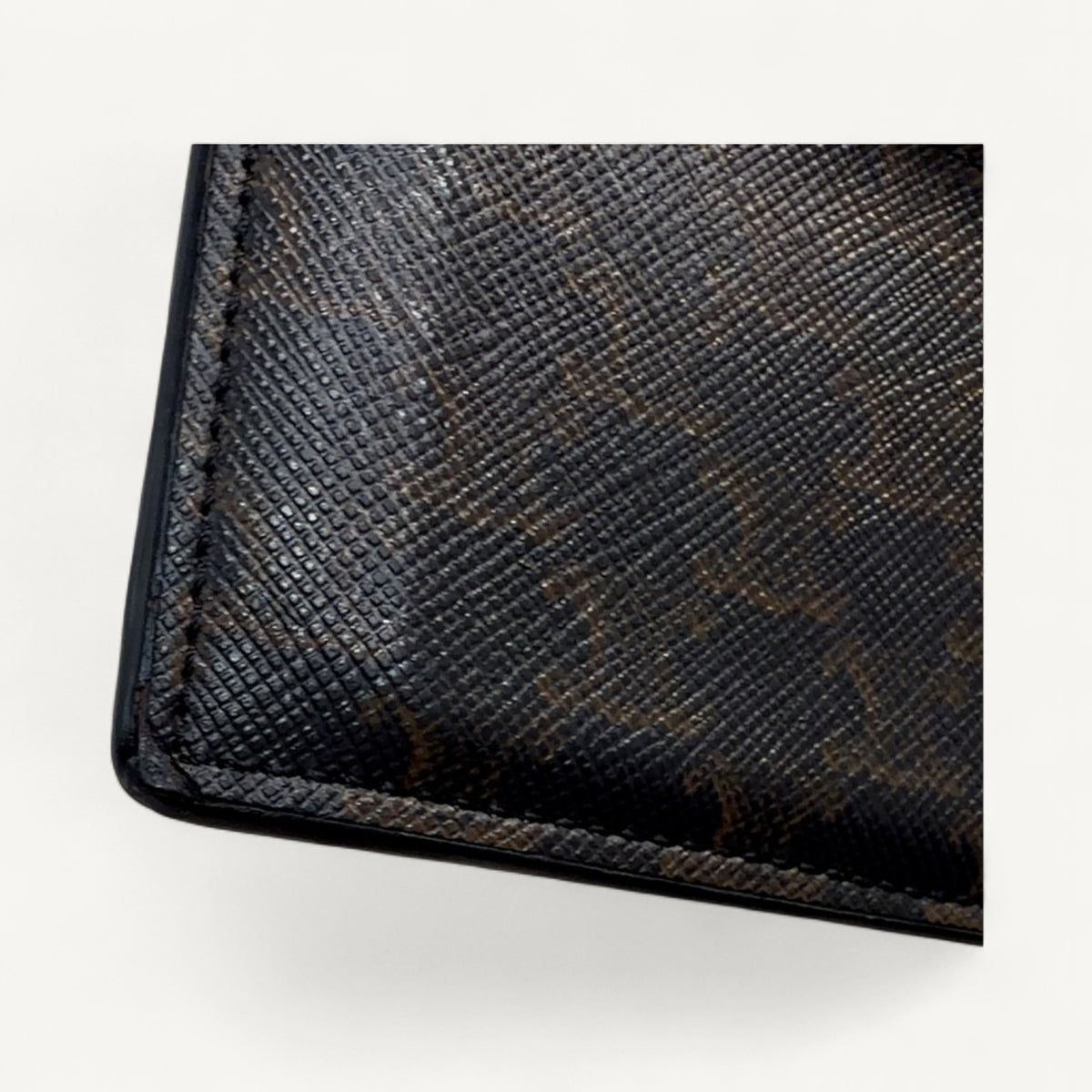 Celine Triomphe Canvas Card Holder in Brown