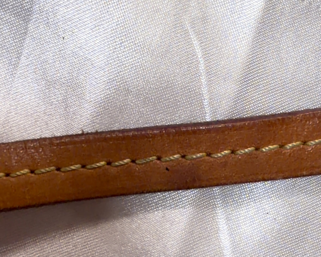 Louis Vuitton Favorite Messenger Bag in Brown
