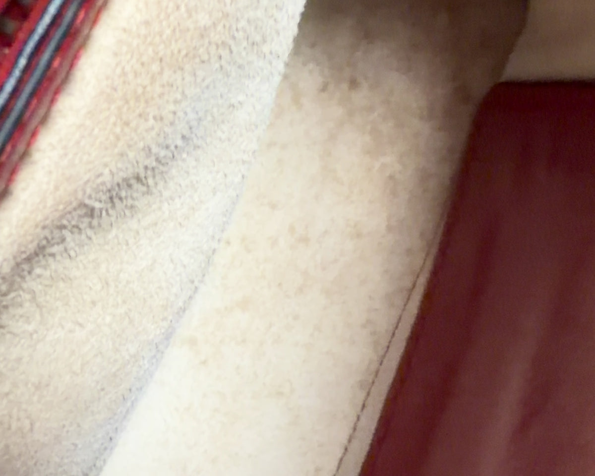 Prada Red Crossbody Bag in Red