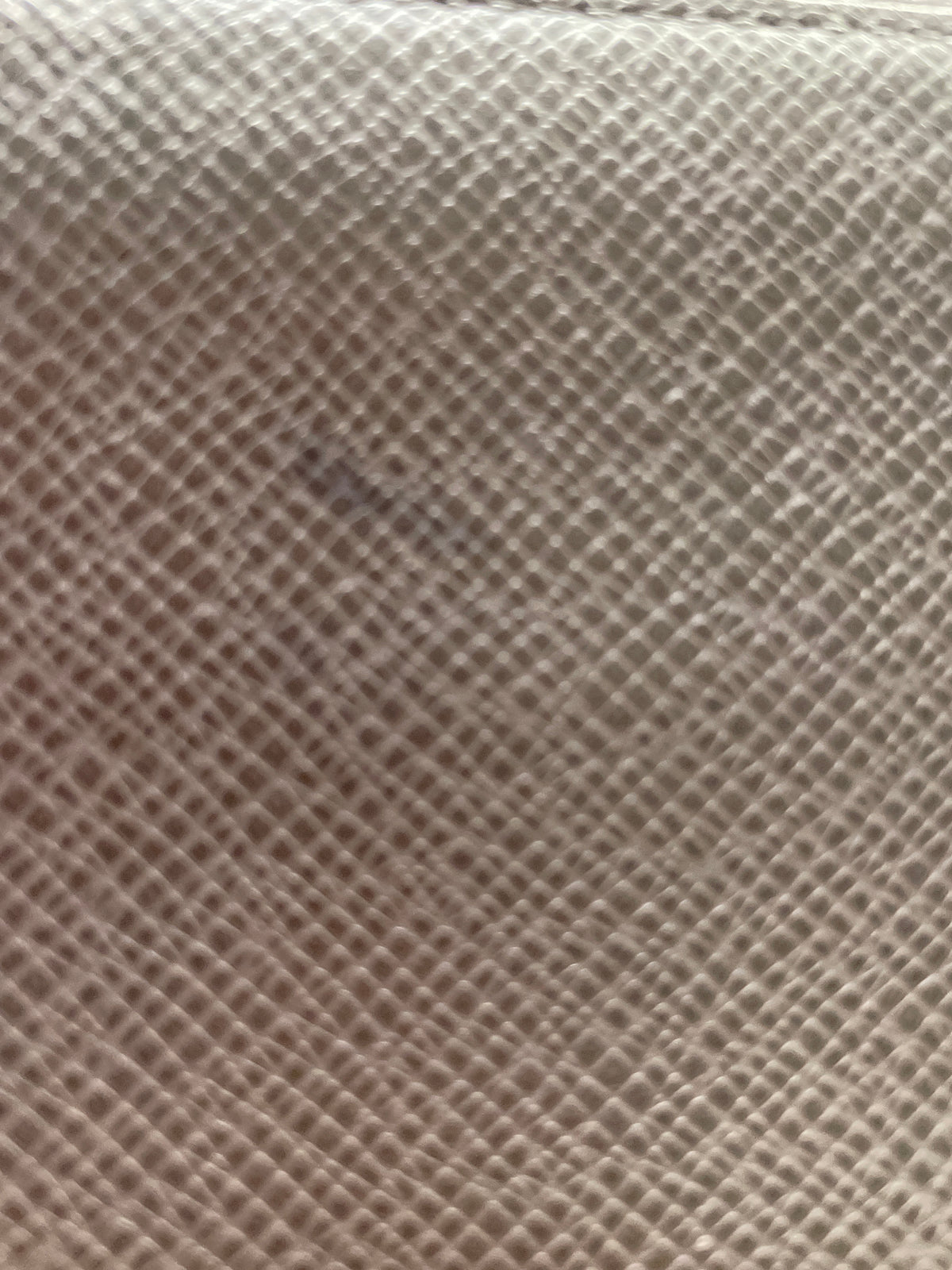 Louis Vuitton Taiga Zip-Around Wallet in Gray