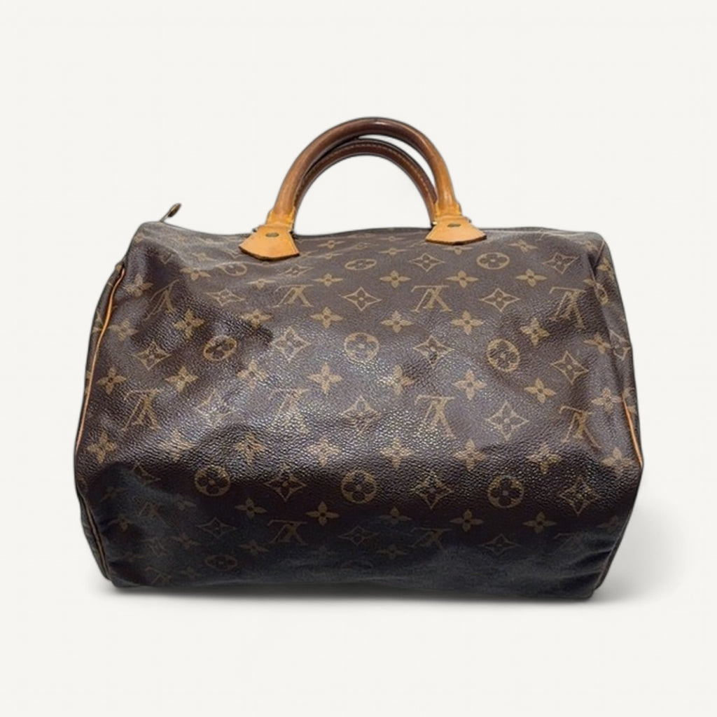 Louis Vuitton Monogram Canvas Speedy 25 Handbag in Brown