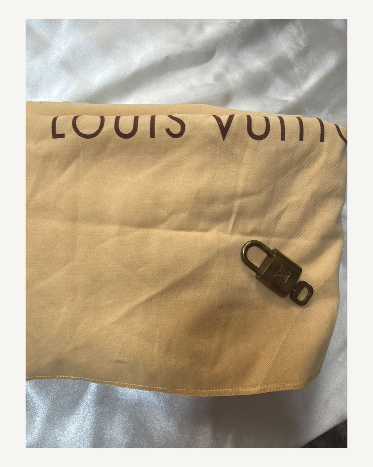 Louis Vuitton Speedy Monogram 30 in Brown