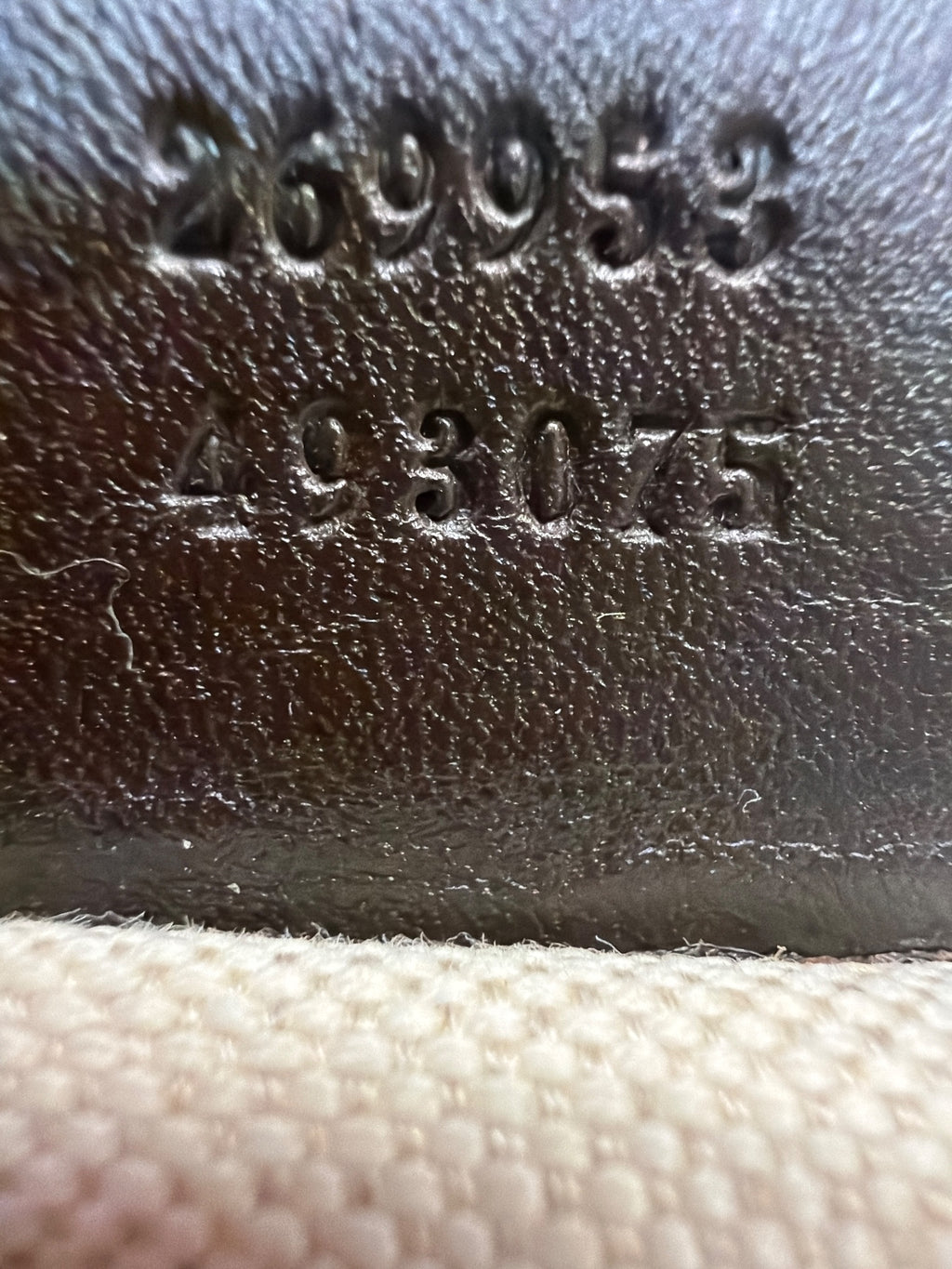 Gucci Tote in Dark Brown